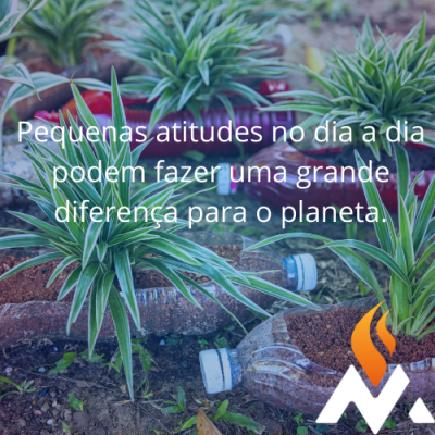 Pequenas atitudes do dia a dia que ajudam o meio ambiente